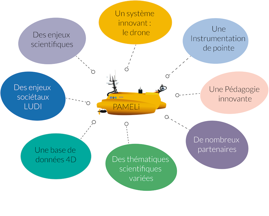 pameli schema